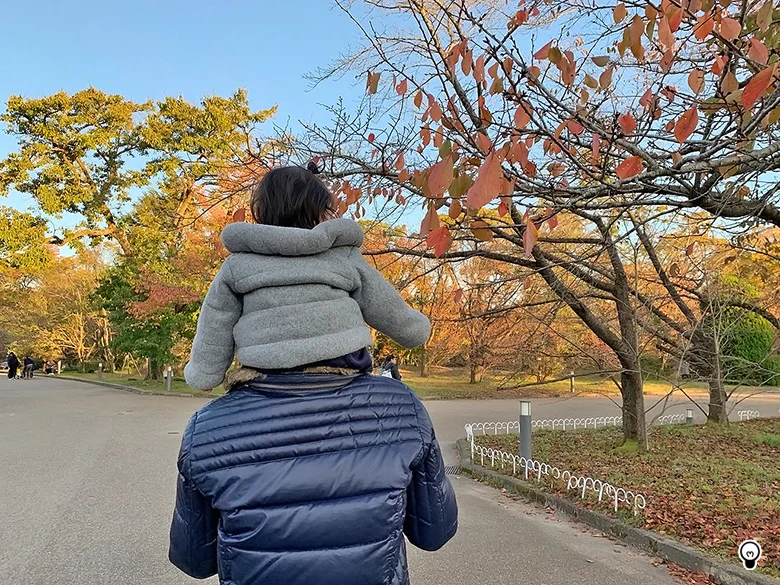 バスやタクシー、知人の車にチャイルドシートは必要?